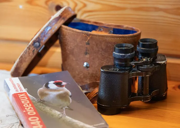 Chalet Kil-ukru By Interhome Ovronnaz